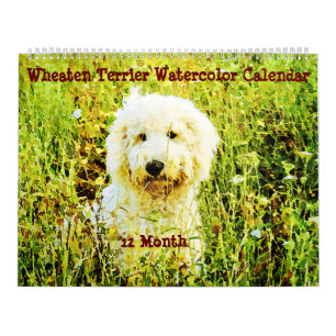 12 Monate Wheaten Terrier Hunde Haustiere Wasserfa Kalender