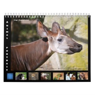 12-monatige Kalenderbilder für Tiere Kalender