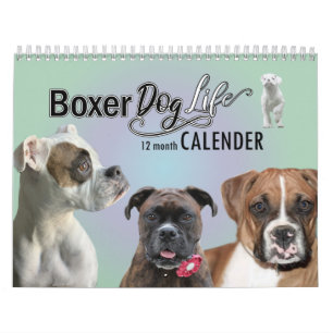 12-monatiger Boxer-Dog-Lebenskalender Kalender