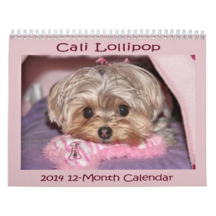 12-monatiger Kalender Cali Lutscher-2014