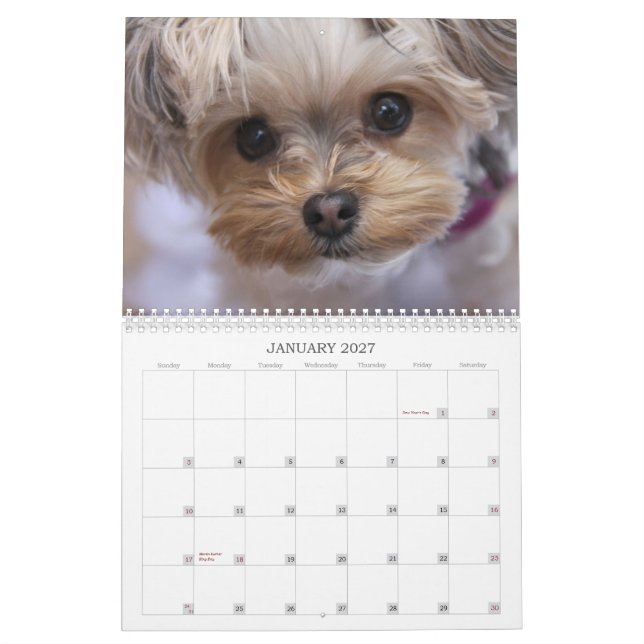 12-monatiger Kalender Cali Lutscher-2015 (Jan 2027)