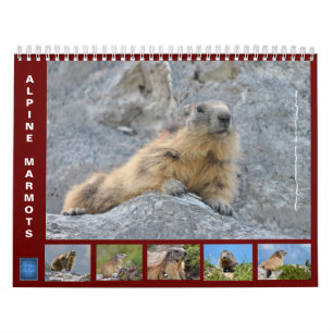 12-monatiger Kalender der Almmotte