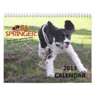 12-monatiger Kalender des frohen Springer-2013