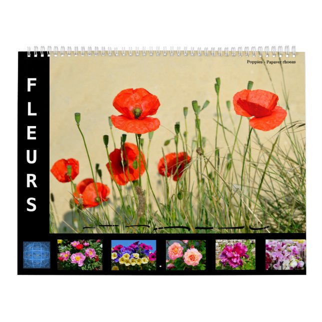 12-Monats-Kalender verschiedener Blume Kalender (Titelbild)