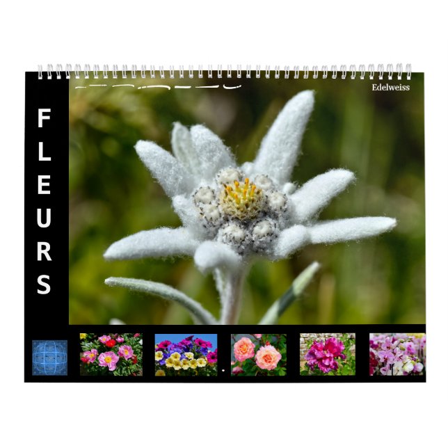 12-Monats-Kalender verschiedener Blume Kalender (Titelbild)