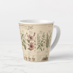 12 oz Botanische Kräuter-Tasse – Milchtasse