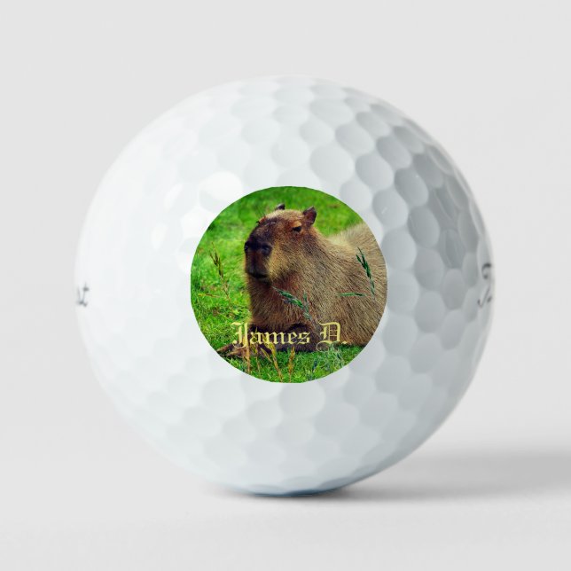12 Pack- Spaß Personalisiert Capybara Tier Golfball (Vorderseite)