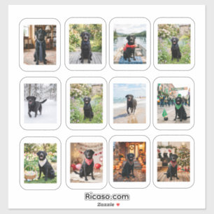 12 personalisierte Fotos mit weißem Rahmen Aufkleber