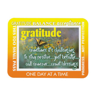 12 step gratitude magnet 26 butterflies