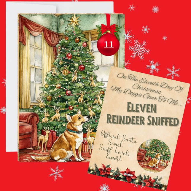 12 Tage Doggie Weihnachten 11 (Von Creator hochgeladen)