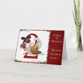 12 Tage Weihnachten zwei Schildkröte-Tauben