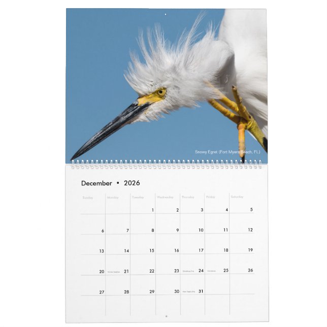 12 Vögel für ~ Tom-Dorn-Fotografie 2018 Kalender (Dez 2026)
