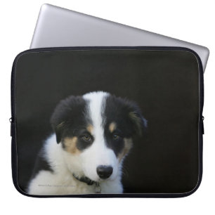 12 Wochen-alter Border-Collie-Welpe Laptopschutzhülle