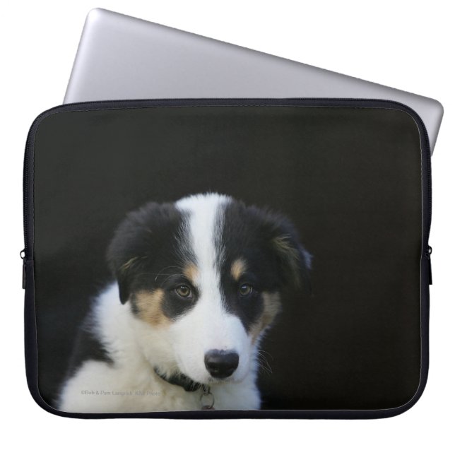 12 Wochen-alter Border-Collie-Welpe Laptopschutzhülle (Vorderseite)