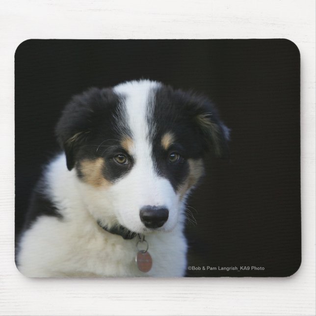 12 Wochen-alter Border-Collie-Welpe Mousepad (Vorne)
