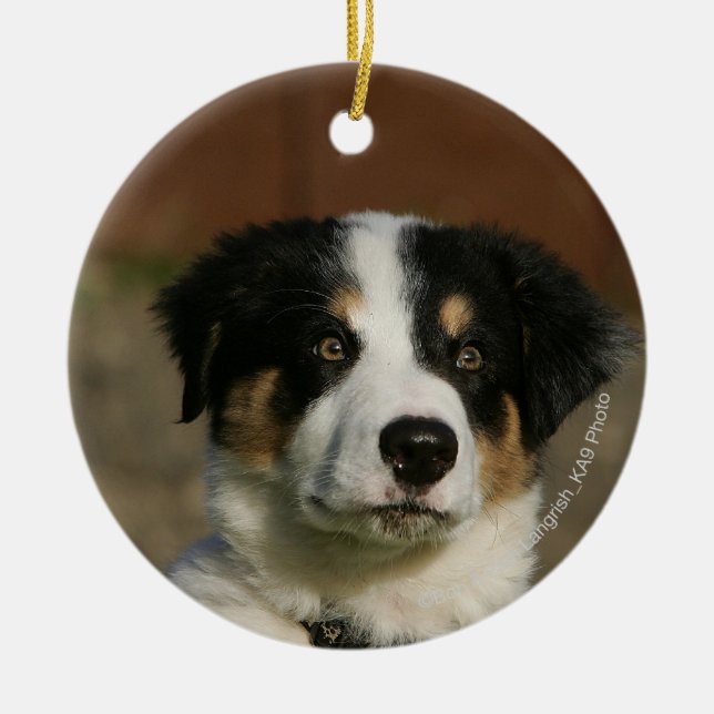 12 Wochen-alter Border-Collie-WelpeHeadshot Keramikornament (Vorne)