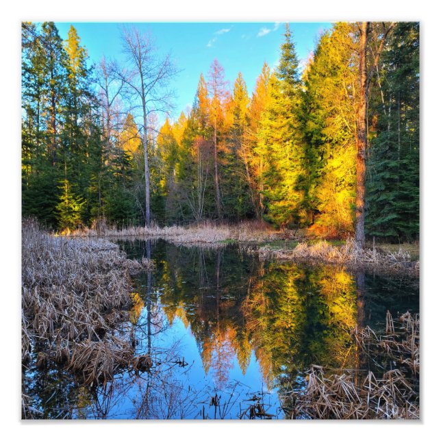 12"x12" Foto drucken | | Perfekter Teich (Vorne)