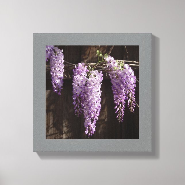 12" x 12" Lila Wisteria auf Holzzaun Leinwanddruck (Vorderseite)