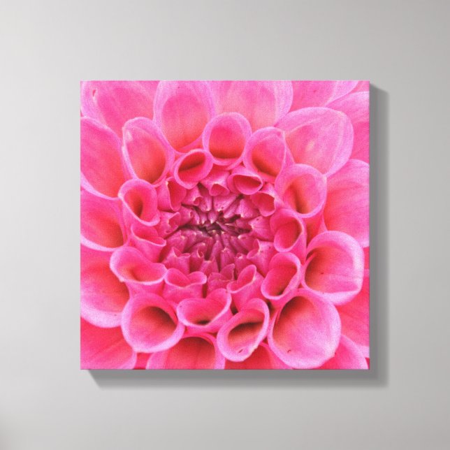 12 Zoll x 12 Zoll überzogene Canvas - rosa Blume Leinwanddruck (Vorderseite)