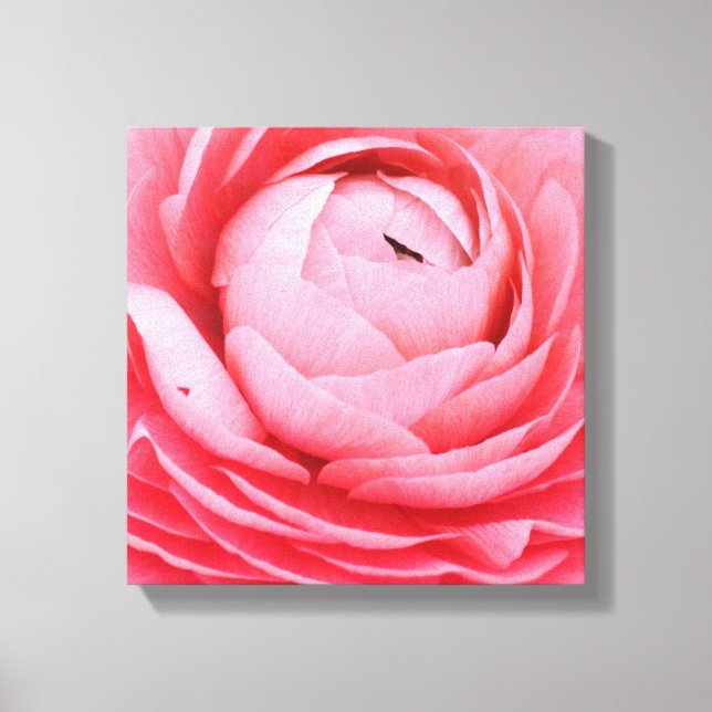 12 Zoll x 12 Zoll überzogene Canvas - rosa Blume Leinwanddruck (Vorderseite)