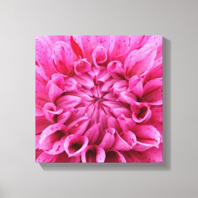 12 Zoll x 12 Zoll überzogene Canvas - rosa Blume Leinwanddruck (Vorderseite)