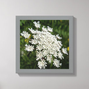 12 Zoll x 12 Zoll Weißkönigin Ann's Spitzen-Foto Leinwanddruck