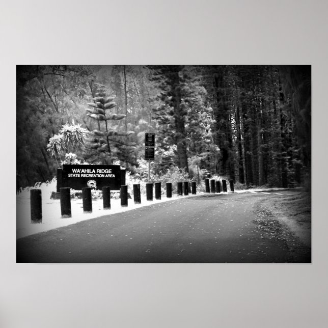 12 Zoll x 18 Zoll Poster Print - Wa'ahila Ridge (Vorne)