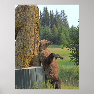 12x16 Grizzlybär-Poster Poster