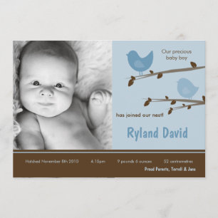 12x18 Baby Boy Blue Birdsl Foto Geburtsankündigung Ankündigung
