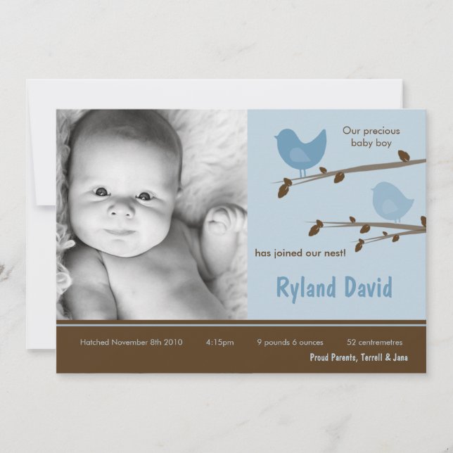 12x18 Baby Boy Blue Birdsl Foto Geburtsankündigung Ankündigung (Vorderseite)