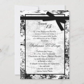 12x18 Black ToileFabric Quinceanera Einladung