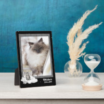 12x18 Cat Pet Memorial Silver Tabby Foto