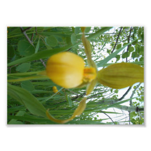 12x18 Foto-Druck Fotodruck