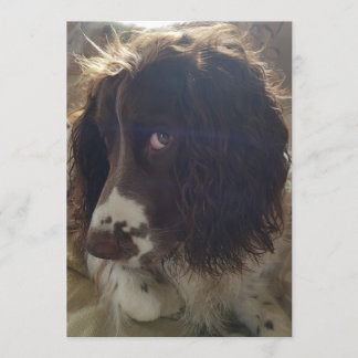 12x18-Geburtstagskarte Karte