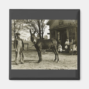 12x18 GLASS NEGATIVE Milwaukee Mule Magnet