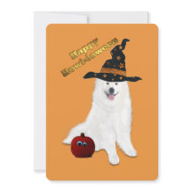 12x18 In. Flat TY Message Card Halloween Samoyed 