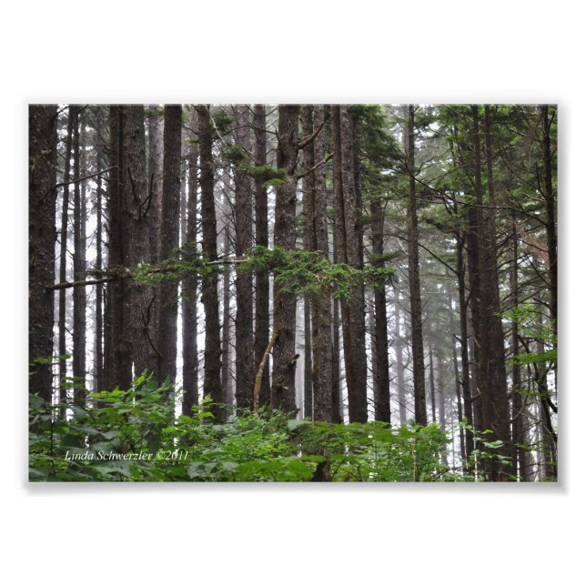 12x18 La Push 2. Strandweg Fotodruck (Vorne)