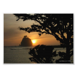 12x18 La Push, Washington Fotodruck