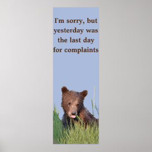 12x36 Plakatpapier (Matte) mit Grizzlybären-Bärenk Poster