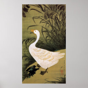 13. 芦 鵞 図, 若 Reed & Goose, Jakuchū, Japan Art Art Poster
