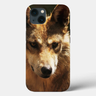 13 Fall: Wolf oder Pet iPhone Case-Mate iPhone Hülle