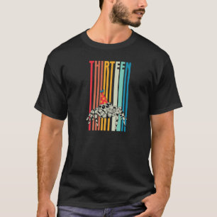 13. Geburtstagsparty Retro Vintagen Pet Jumpi T-Shirt