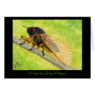 13 Jahre Cicada Malerei