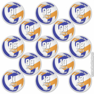 13 Kinder-Teenager-blaue-orange-Volleyball-Vereins Aufkleber