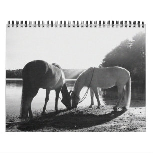 13-monatiger Kalender 2011