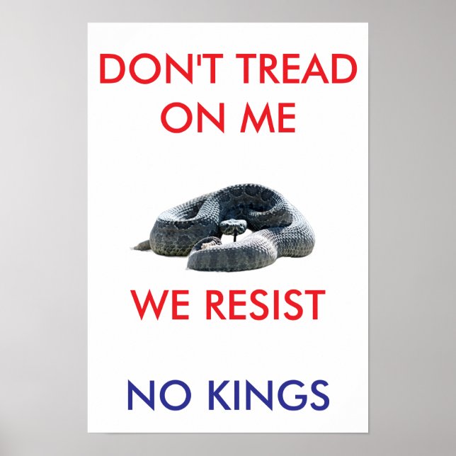 13 X 19 archival hearvy matte paper rally poster (Vorne)