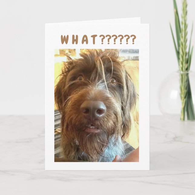 *13th BIRTHDAY* FROM GRIFFON Card Karte (Vorderseite)