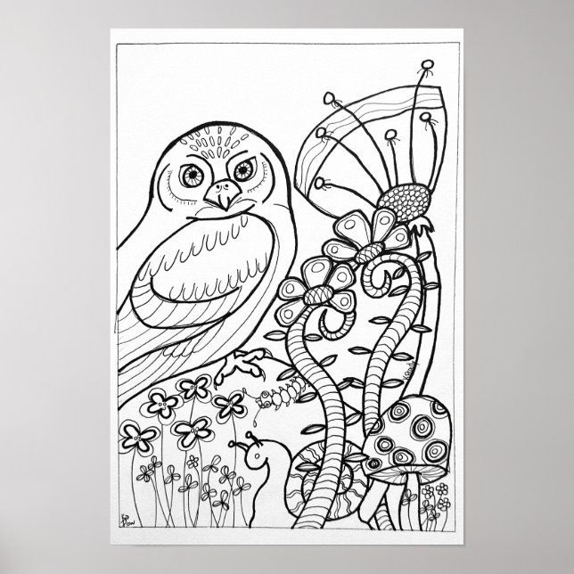 13x19 Farbplakat mit Eule Poster (Vorne)