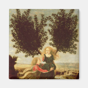 1470-80 Daphne und Apollo Magnet
