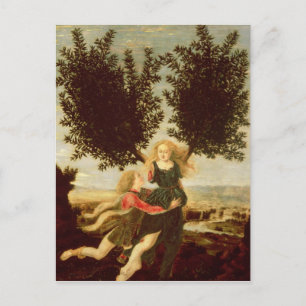 1470-80 Daphne und Apollo Postkarte